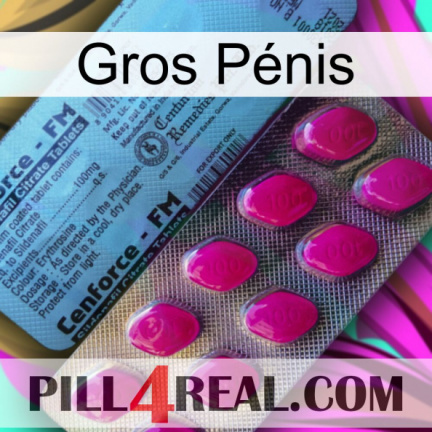 Gros Pénis 35